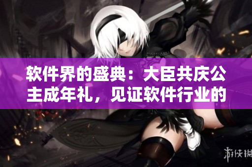 軟件界的盛典：大臣共慶公主成年禮，見(jiàn)證軟件行業(yè)的騰飛