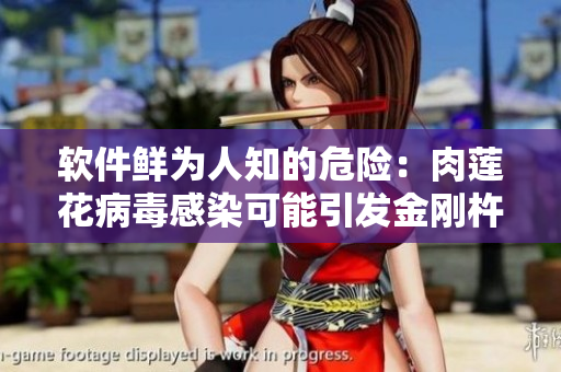 軟件鮮為人知的危險：肉蓮花病毒感染可能引發(fā)金剛杵攻擊