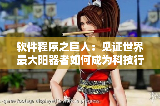 軟件程序之巨人：見證世界最大陽器者如何成為科技行業(yè)巨頭