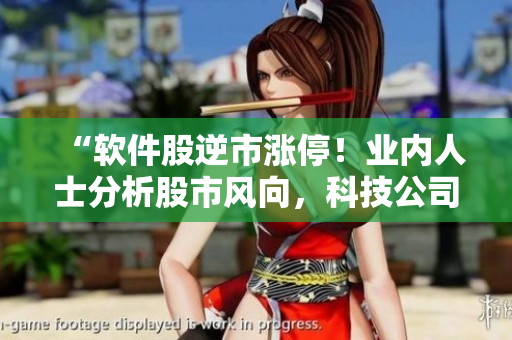 “軟件股逆市漲停！業(yè)內(nèi)人士分析股市風(fēng)向，科技公司股價(jià)突破歷史新高”