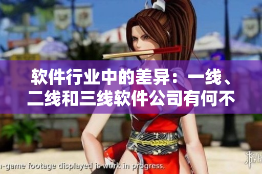軟件行業(yè)中的差異：一線、二線和三線軟件公司有何不同？
