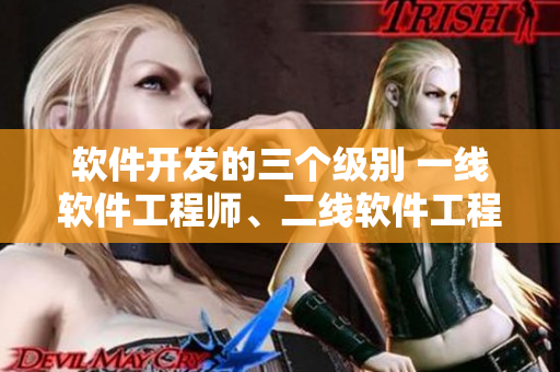 軟件開發(fā)的三個(gè)級(jí)別 一線軟件工程師、二線軟件工程師和三線軟件工程師