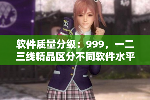 軟件質量分級：999，一二三線精品區(qū)分不同軟件水平 不含符號