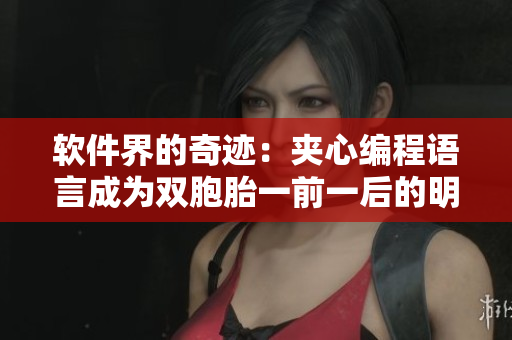 軟件界的奇跡：夾心編程語言成為雙胞胎一前一后的明星