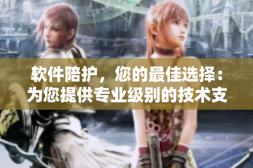 軟件陪護，您的最佳選擇：為您提供專業(yè)級別的技術支持