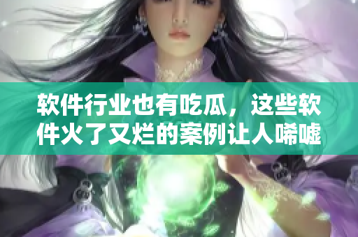軟件行業(yè)也有吃瓜，這些軟件火了又爛的案例讓人唏噓不已