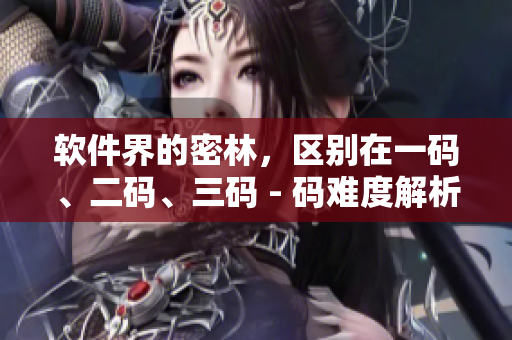 軟件界的密林，區(qū)別在一碼、二碼、三碼 - 碼難度解析