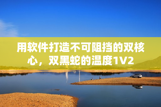 用軟件打造不可阻擋的雙核心，雙黑蛇的溫度1V2