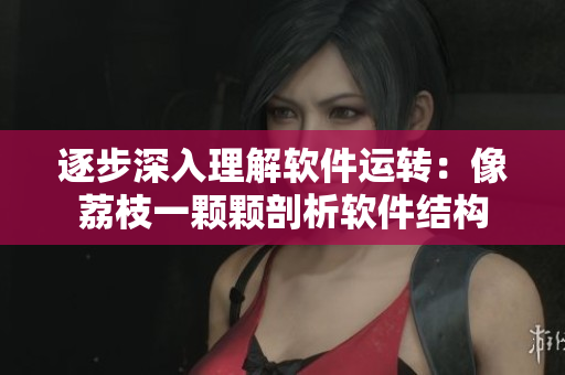 逐步深入理解軟件運轉(zhuǎn)：像荔枝一顆顆剖析軟件結(jié)構(gòu)