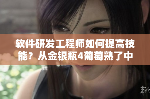 軟件研發(fā)工程師如何提高技能？從金銀瓶4葡萄熟了中汲取靈感