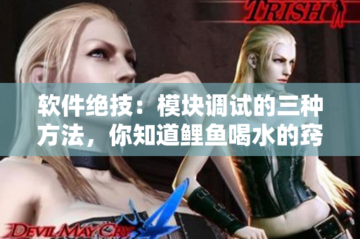 軟件絕技：模塊調(diào)試的三種方法，你知道鯉魚喝水的竅門嗎？