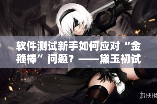 軟件測試新手如何應對“金箍棒”問題？——黛玉初試軟件測試