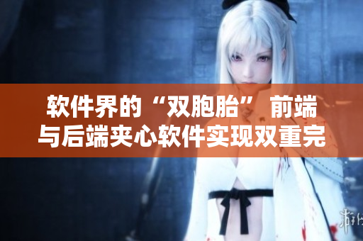 軟件界的“雙胞胎” 前端與后端夾心軟件實現(xiàn)雙重完美。