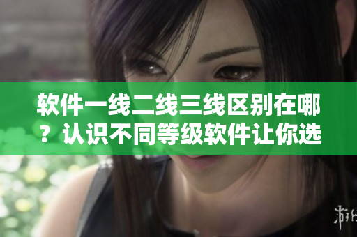 軟件一線二線三線區(qū)別在哪？認(rèn)識(shí)不同等級(jí)軟件讓你選擇更好的產(chǎn)品