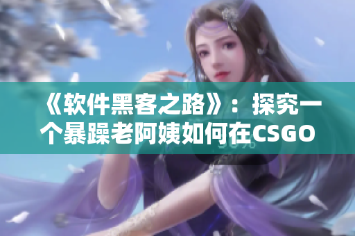 《軟件黑客之路》：探究一個暴躁老阿姨如何在CSGO中占據(jù)制高點