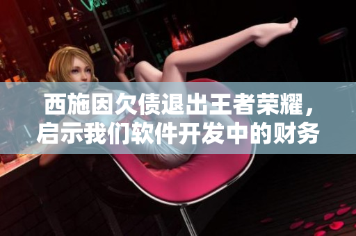 西施因欠債退出王者榮耀，啟示我們軟件開發(fā)中的財務(wù)管理重要性