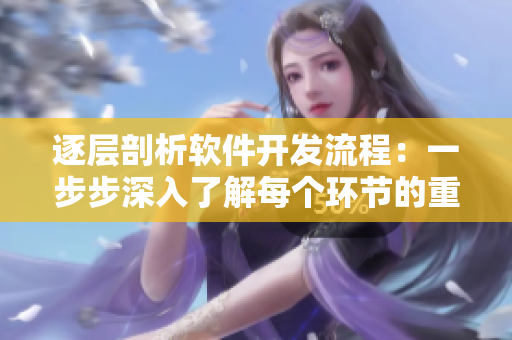 逐層剖析軟件開發(fā)流程：一步步深入了解每個環(huán)節(jié)的重要性