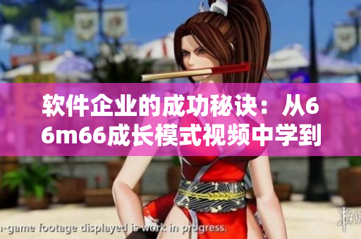 軟件企業(yè)的成功秘訣：從66m66成長(zhǎng)模式視頻中學(xué)到的4個(gè)經(jīng)驗(yàn)！