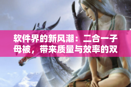 軟件界的新風潮：二合一子母被，帶來質(zhì)量與效率的雙倍提升！