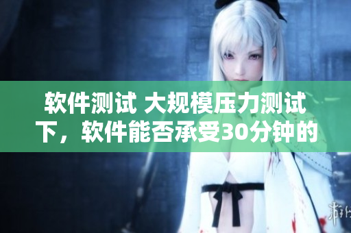 軟件測(cè)試 大規(guī)模壓力測(cè)試下，軟件能否承受30分鐘的高負(fù)載？