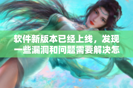 軟件新版本已經(jīng)上線，發(fā)現(xiàn)一些漏洞和問題需要解決怎么辦？