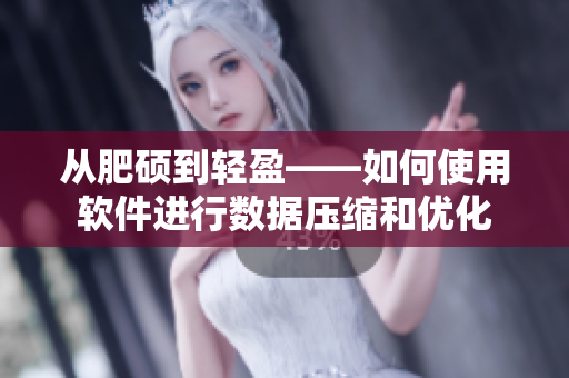 從肥碩到輕盈——如何使用軟件進行數(shù)據(jù)壓縮和優(yōu)化