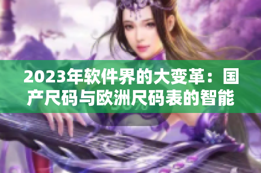 2023年軟件界的大變革：國(guó)產(chǎn)尺碼與歐洲尺碼表的智能融合