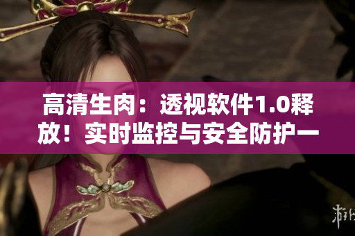 高清生肉：透視軟件1.0釋放！實(shí)時(shí)監(jiān)控與安全防護(hù)一應(yīng)俱全