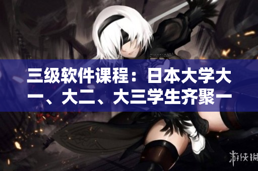 三級(jí)軟件課程：日本大學(xué)大一、大二、大三學(xué)生齊聚一堂學(xué)習(xí)