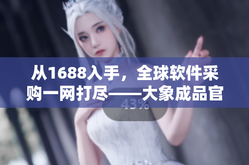 從1688入手，全球軟件采購(gòu)一網(wǎng)打盡——大象成品官網(wǎng)幫您實(shí)現(xiàn)無(wú)縫采購(gòu)！