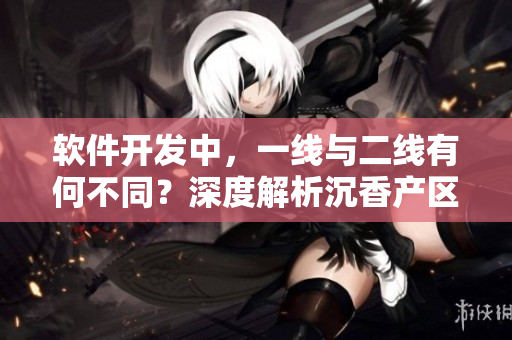 軟件開發(fā)中，一線與二線有何不同？深度解析沉香產(chǎn)區(qū)的差異