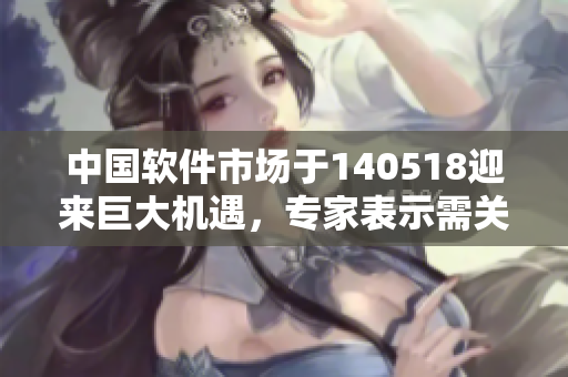中國(guó)軟件市場(chǎng)于140518迎來(lái)巨大機(jī)遇，專家表示需關(guān)注新興技術(shù)