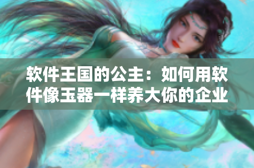 軟件王國的公主：如何用軟件像玉器一樣養(yǎng)大你的企業(yè)