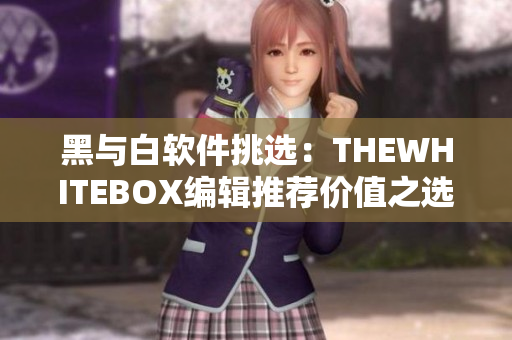 黑與白軟件挑選：THEWHITEBOX編輯推薦價(jià)值之選