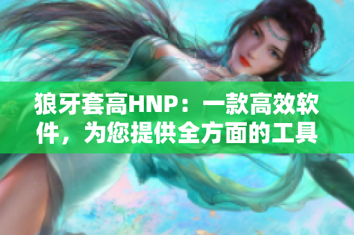 狼牙套高HNP：一款高效軟件，為您提供全方面的工具
