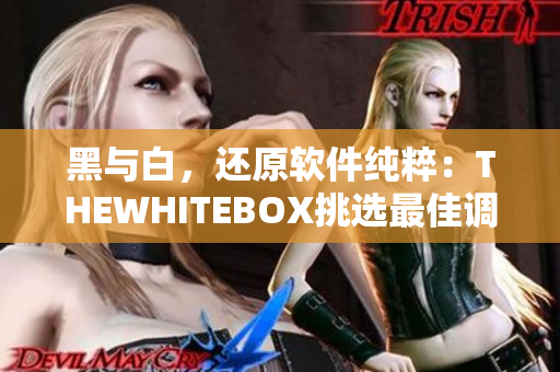 黑與白，還原軟件純粹：THEWHITEBOX挑選最佳調(diào)色軟件
