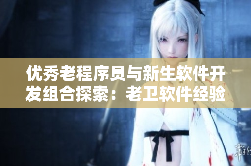 優(yōu)秀老程序員與新生軟件開發(fā)組合探索：老衛(wèi)軟件經(jīng)驗與淑榮編程技能的結(jié)合