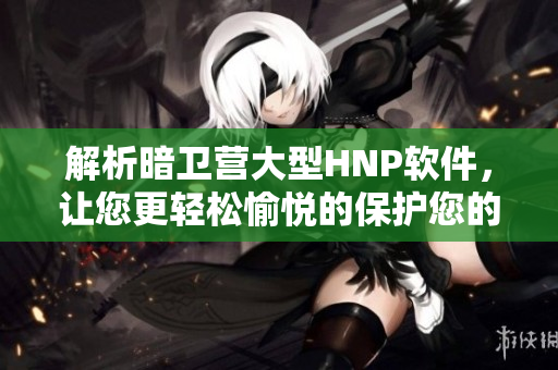 解析暗衛(wèi)營(yíng)大型HNP軟件，讓您更輕松愉悅的保護(hù)您的電腦