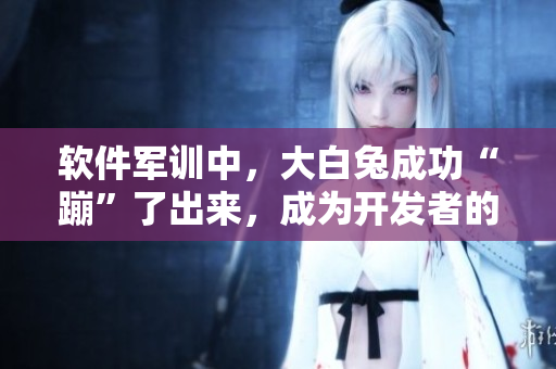 軟件軍訓(xùn)中，大白兔成功“蹦”了出來，成為開發(fā)者的“甜蜜源泉”