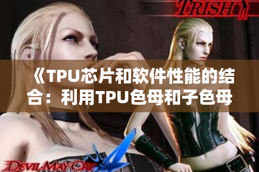 《TPU芯片和軟件性能的結合：利用TPU色母和子色母提升軟件速度》