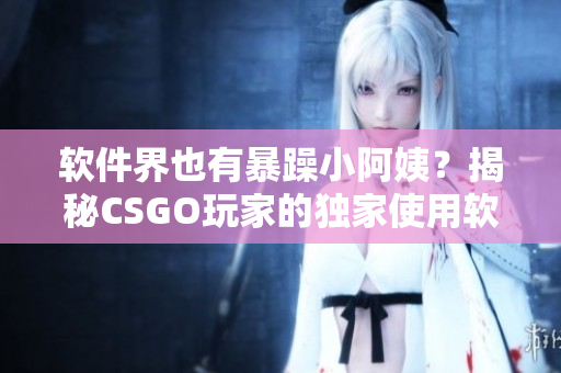 軟件界也有暴躁小阿姨？揭秘CSGO玩家的獨家使用軟件