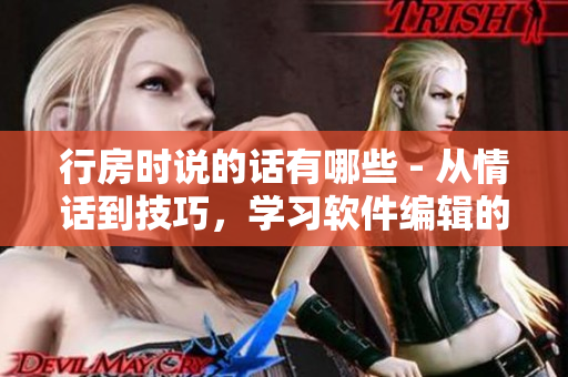 行房時(shí)說的話有哪些 - 從情話到技巧，學(xué)習(xí)軟件編輯的必備技能！