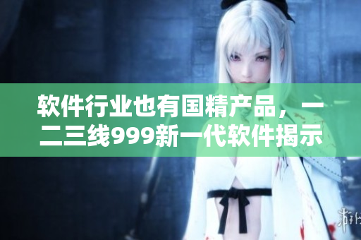 軟件行業(yè)也有國精產品，一二三線999新一代軟件揭示真相