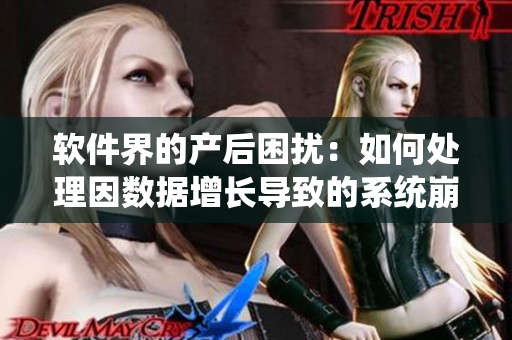 軟件界的產(chǎn)后困擾：如何處理因數(shù)據(jù)增長(zhǎng)導(dǎo)致的系統(tǒng)崩潰？
