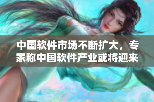 中國軟件市場不斷擴(kuò)大，專家稱中國軟件產(chǎn)業(yè)或?qū)⒂瓉硇乱徊òl(fā)展