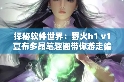 探秘軟件世界：野火h1 v1夏布多昂筆趣閣帶你游走編碼風(fēng)云