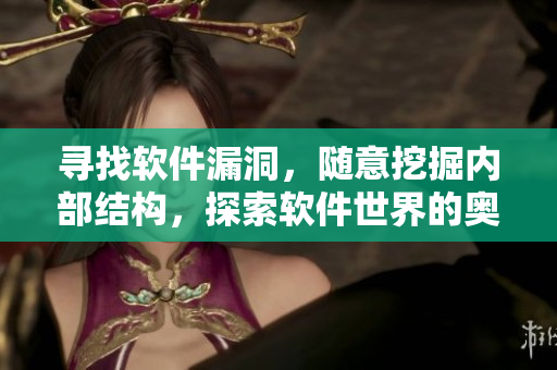 尋找軟件漏洞，隨意挖掘內(nèi)部結(jié)構(gòu)，探索軟件世界的奧秘