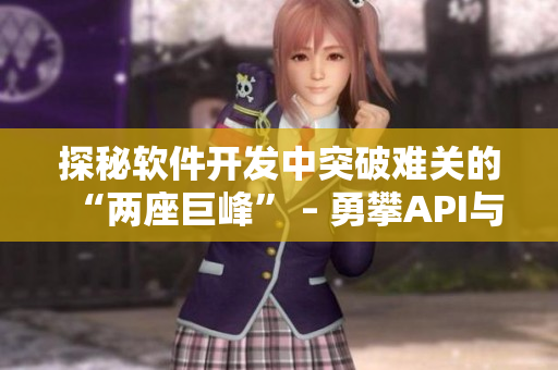 探秘軟件開發(fā)中突破難關的“兩座巨峰” – 勇攀API與算法優(yōu)化之峰