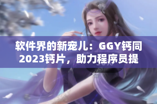 軟件界的新寵兒：GGY鈣同2023鈣片，助力程序員提升生產(chǎn)力