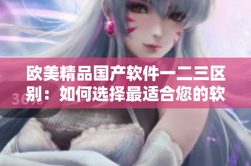 歐美精品國產(chǎn)軟件一二三區(qū)別：如何選擇最適合您的軟件？